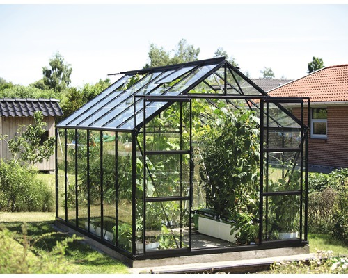 Serre Vitavia Uranus 9900 verre de sécurité trempé 3 mm fondation comprise 257x383 cm noir