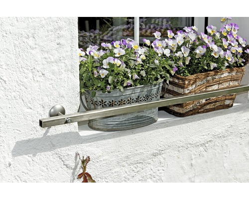 Jardinières avec violettes sur un rebord de fenêtre avec une balustrade