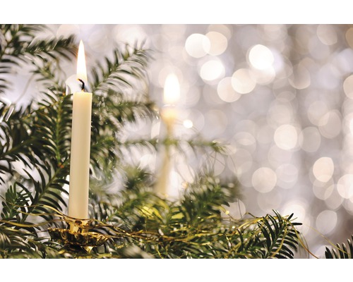 Bougie allumée sur des branches de sapin dans un bougeoir