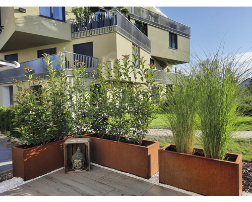 Dekorative Pflanzkästen aus Metall mit Pflanzen im Aussenbereich vor einem Gebäude.