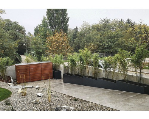 Espace extérieur avec coffre de rangement, bacs à plantes et parterre de gravier