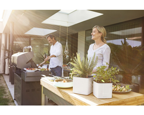 Terrasse avec barbecue et herbes aromatiques en pots, personnes faisant des grillades