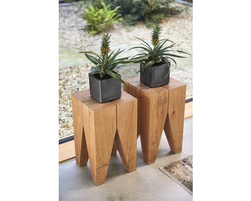 Zwei Ananaspflanzen in grauen Pflanzgefässen auf hölzernen Beistelltischen