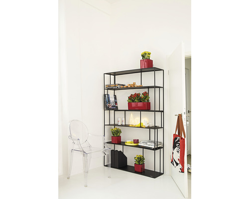 Zimmeransicht mit schwarzem Regal, Pflanzen und durchsichtigem Stuhl
