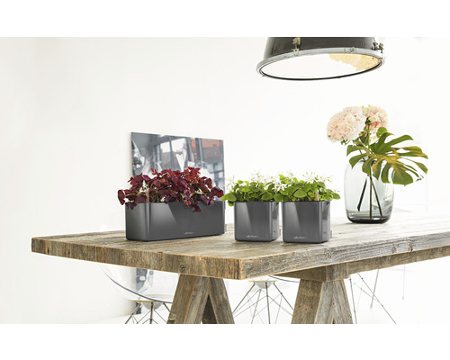 Zwei graue Pflanzgefäße und ein längliches Pflanzgefäß auf einem Holztisch mit Pflanzen