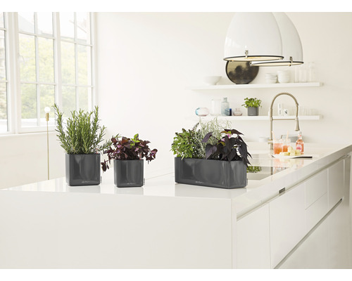 Drei graue Pflanzgefäße mit Kräutern auf einer Küchentheke.