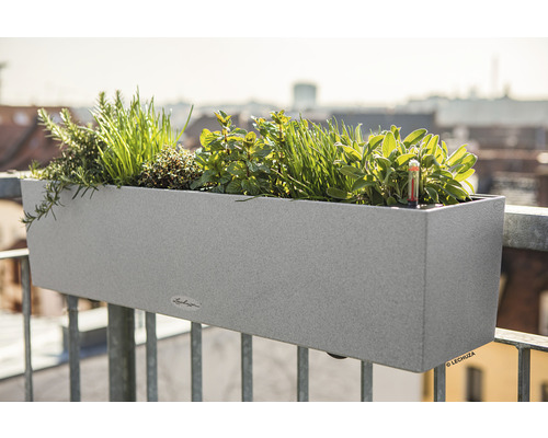Jardinière de balcon avec herbes aromatiques sur un garde-corps de balcon