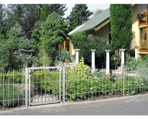 Clôture de jardin avec portail et plantes devant une maison