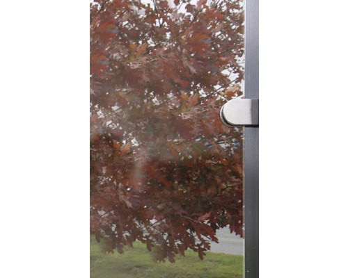 Blick durch eine Glastür auf einen Baum mit braunen Blättern