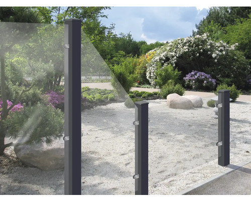 Gartenszene mit Glaszaun und Pflanzen