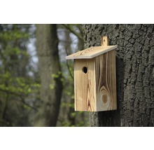 Holz Vogelhaus an einem Baum befestigt