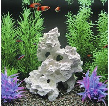Aquarium décoratif avec poissons, plantes et rochers