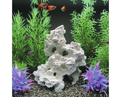 Dekoratives Aquarium mit Fischen, Pflanzen und Felsen
