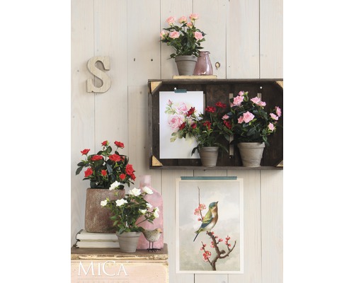 Scène décorative avec des roses en pot, une étagère et des décorations murales