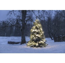 Beleuchteter Weihnachtsbaum im verschneiten Aussenbereich