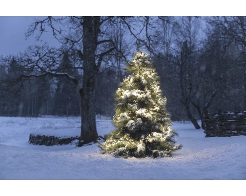 Beleuchteter Weihnachtsbaum im verschneiten Aussenbereich