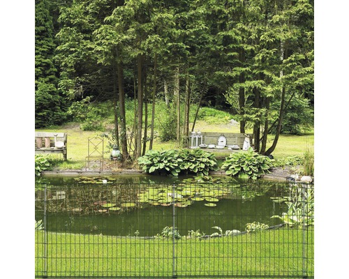 Étang dans le jardin avec clôture métallique, entouré d''arbres et de plantes