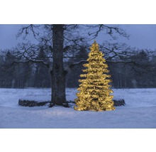 Arbre de Noël illuminé dans un environnement extérieur enneigé