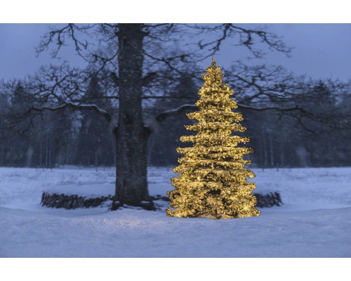 Arbre de Noël illuminé dans un environnement extérieur enneigé