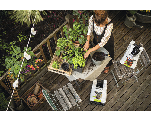 Femme rempotant des plantes sur une terrasse en bois avec du terreau, entourée d''outils de jardinage et de décoration