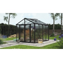 Gewächshaus im Garten mit Pflanzen und Gartenzubehör