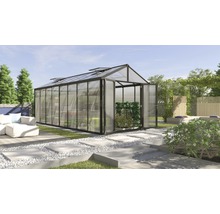 Gewächshaus im Garten mit geöffneter Tür und Pflanzen darin