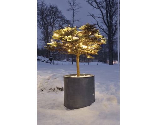 Baum mit Lichterkette in einem Pflanzgefäß im Winter