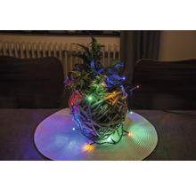 Arrangement de plantes décoratives avec lumières dans un panier tressé sur une table