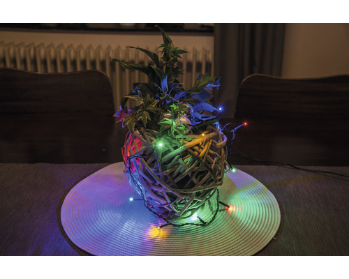 Arrangement de plantes décoratives avec lumières dans un panier tressé sur une table