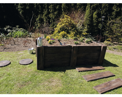 Jardinière en bois dans le jardin avec plantations, arrosoir et outils de jardinage