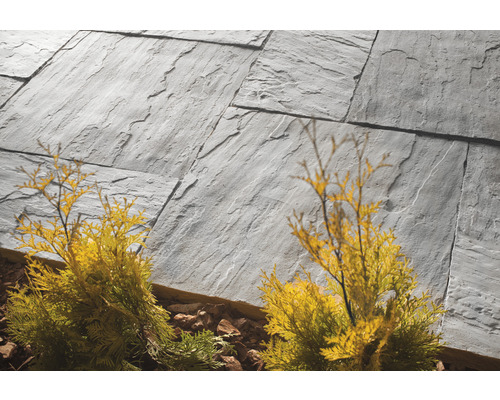 Pavés en pierre naturelle avec des plantes dans le jardin