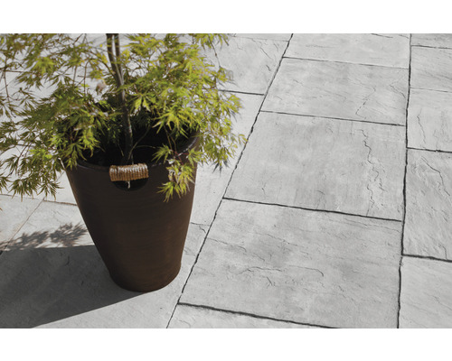 Scène avec des dalles en pierre grise et une plante en pot pour le jardin.