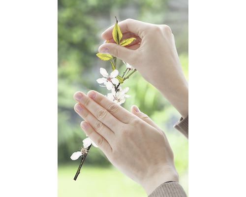 Gros plan des mains tenant une branche fleurie