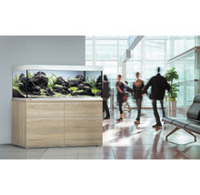 Aquariumkombination mit Unterschrank im modernen Büro