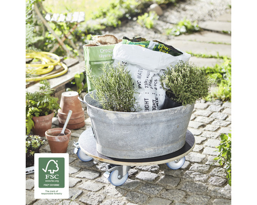 Planche à roulettes avec plantes et accessoires de jardin à l''extérieur
