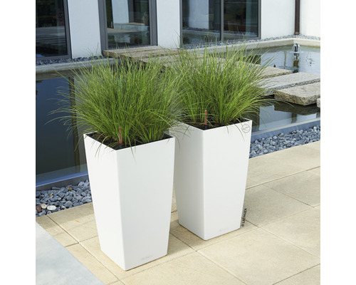 Pflanzvase Lechuza Cubico Color Kunststoff LxB 30 x 30 cm H 56 cm