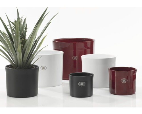 Pots de fleurs en céramique de différentes couleurs et de différentes tailles