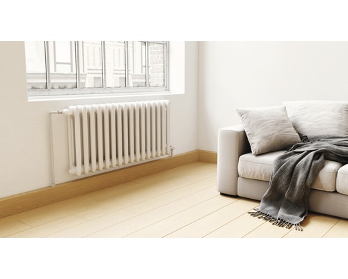 Salon avec radiateur, canapé et fenêtre