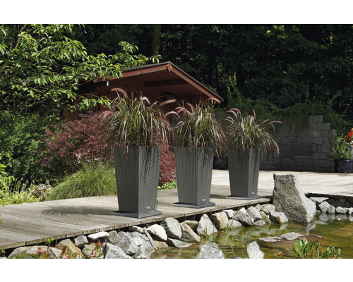 Trois jardinières avec des graminées ornementales dans le jardin