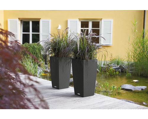 Deux jardinières avec des plantes à côté d''un étang