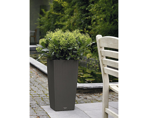 Pot de fleurs avec plante dans le jardin