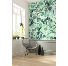 Pièce décorée avec papier peint jungle, chaise ronde et plantes d''intérieur