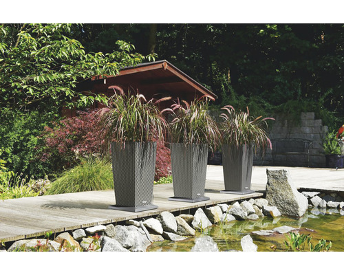 Trois bacs à fleurs avec des plantes au bord d''un étang dans un jardin.