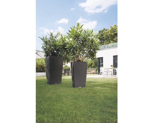 Deux bacs à fleurs avec des plantes dans le jardin