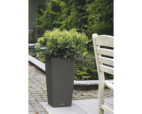 Haut pot de fleurs rectangulaire dans le jardin avec des plantes