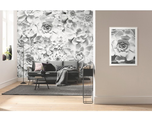 Salon avec papier peint photo à motif de succulentes et image encadrée