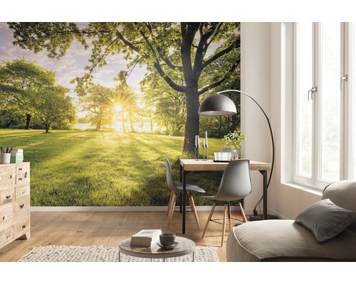 Espace de vie avec un papier peint photo représentant un paysage avec des arbres et la lumière du soleil, créant une atmosphère lumineuse et naturelle