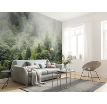 Salon avec papier peint photo représentant une forêt dans le brouillard