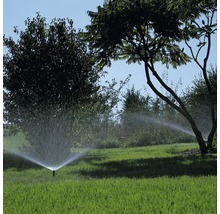 Rasenbewässerung mit Rasensprenger im Garten