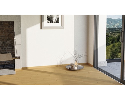 Pièce claire avec parquet, cheminée et porte-fenêtre